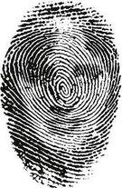 fingerprint 1.jpg - 11.90 Kb